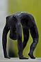 HarTmonie0901_09_nEb